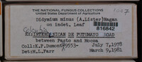Image Associated With the Occurence